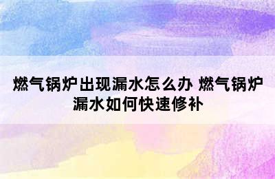 燃气锅炉出现漏水怎么办 燃气锅炉漏水如何快速修补